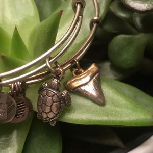 Alex and Ani Shark Tooth and Turtle Bracelet
